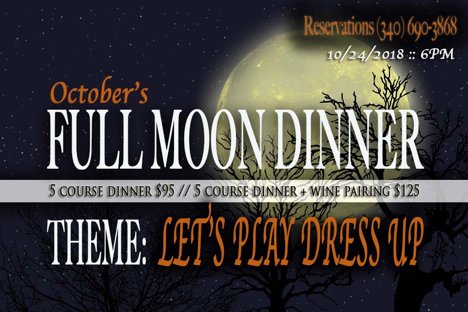 Moon Trees Full Sky Silhouette Starry Planet