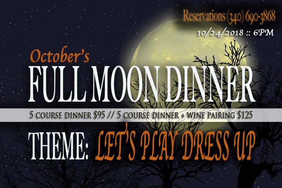 Moon Trees Full Sky Silhouette Starry Planet